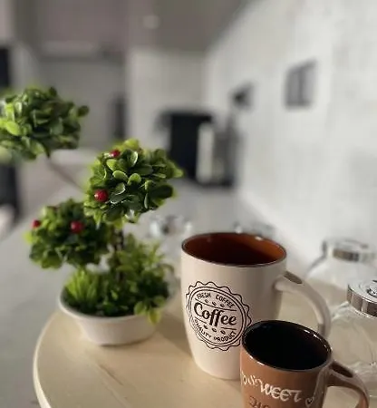 Brand New First Line Sea View 1 Bedroom Apartament